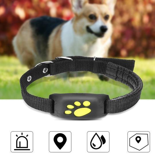 GPS Pet Locator Tracker Pet Anti-perte Dispositif Mini Pet Smart Wear