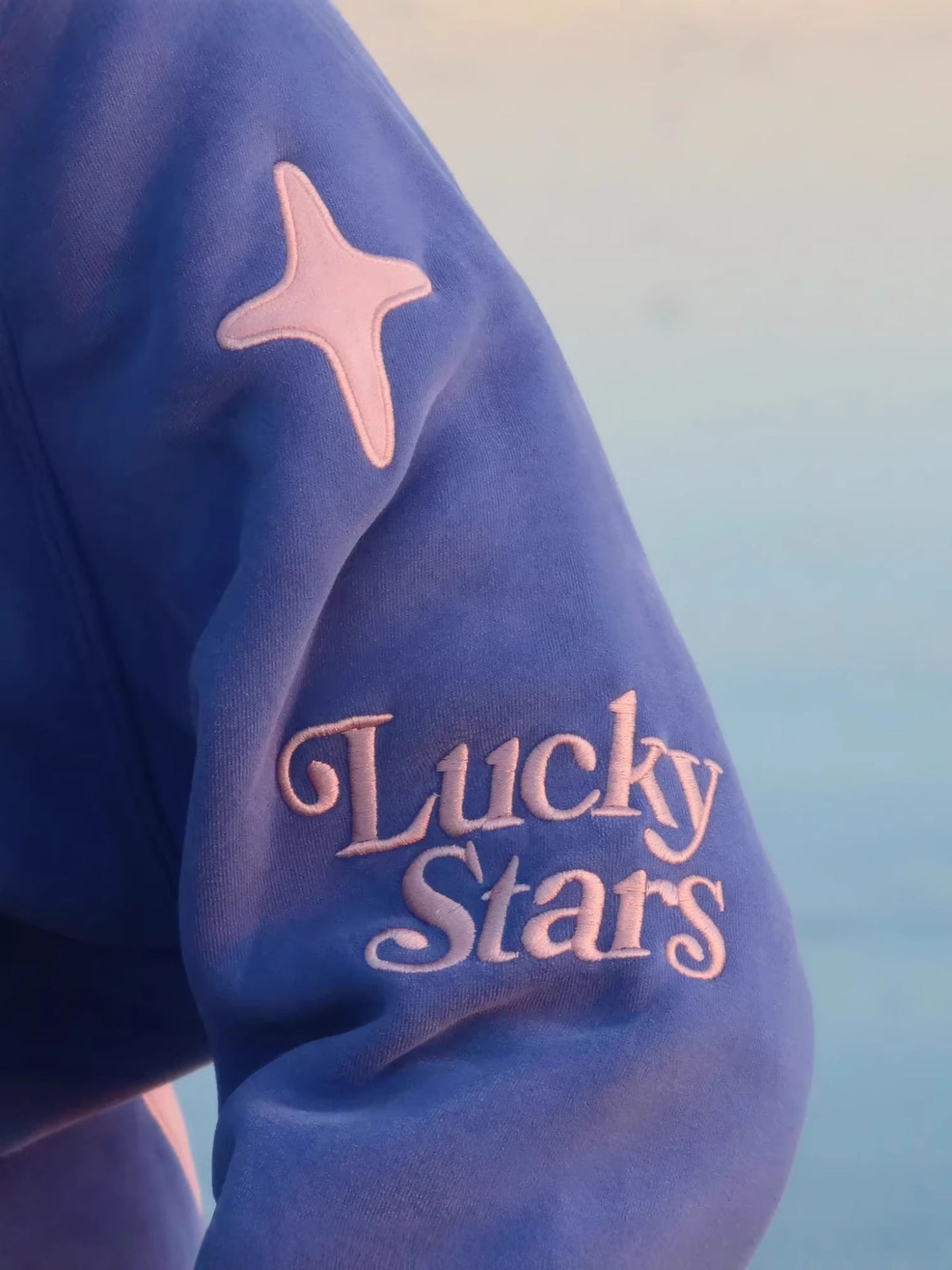 Polyester Embroidered Sweatshirt For Women
