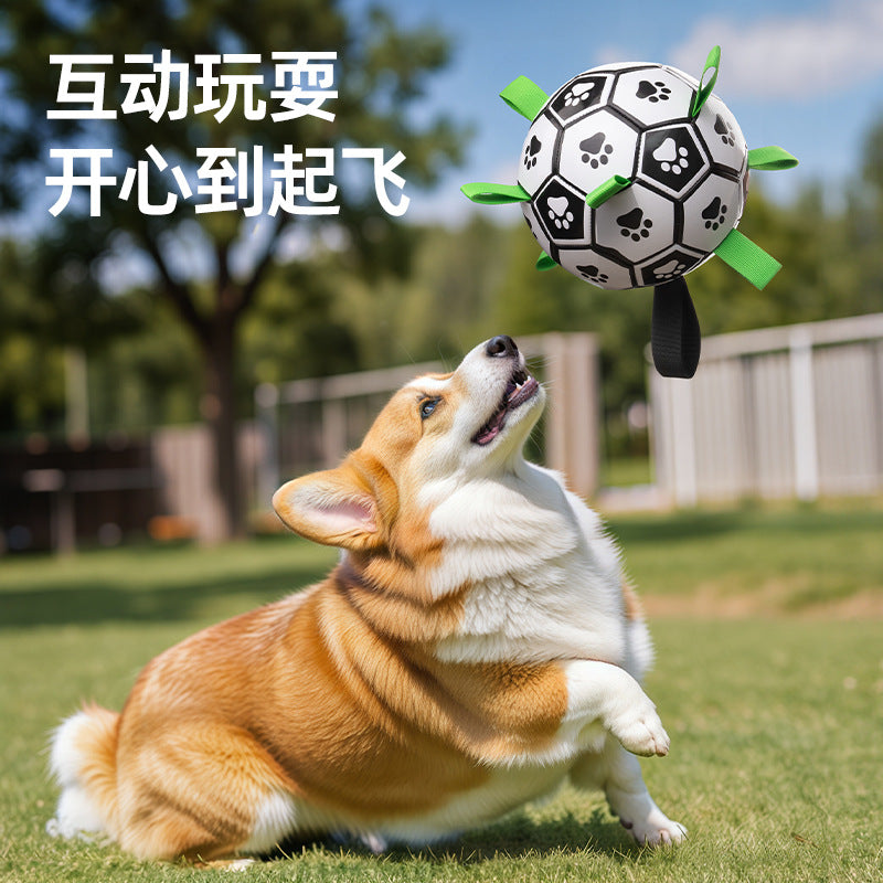 Dog Toy Ball Border Pastoral Self-Hi Toy Labrador Corgi Training Special Dog Football Bite Resistant Pet Supplies