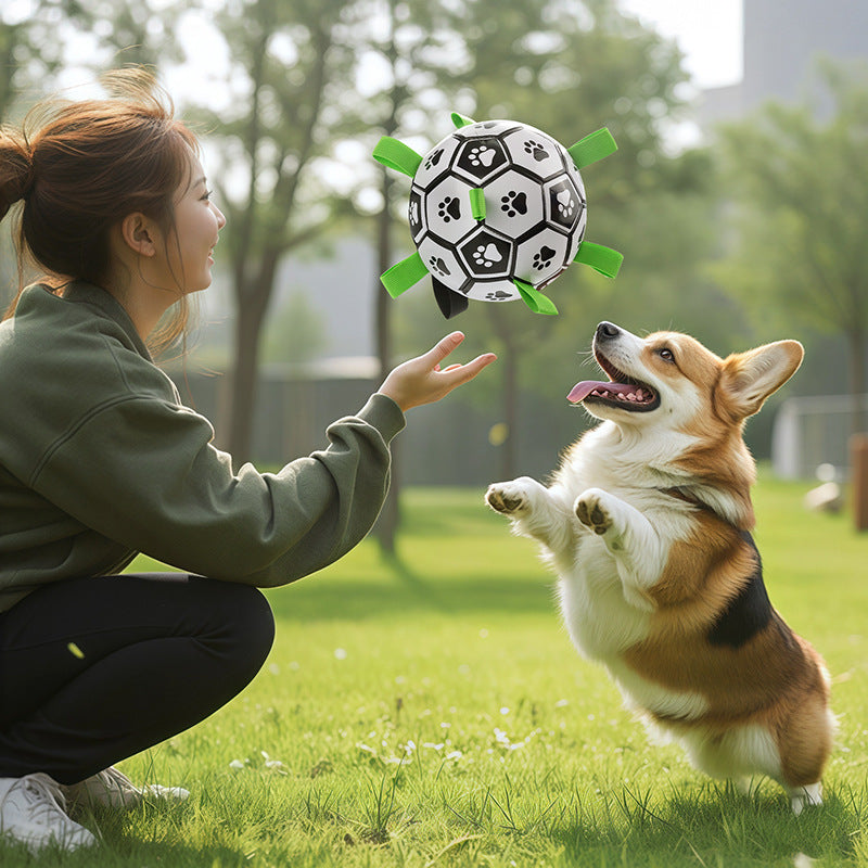 Dog Toy Ball Border Pastoral Self-Hi Toy Labrador Corgi Training Special Dog Football Bite Resistant Pet Supplies